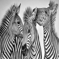 Thumbnail for Papier Peint Noir et Blanc Rayures | Le Petit Intissé