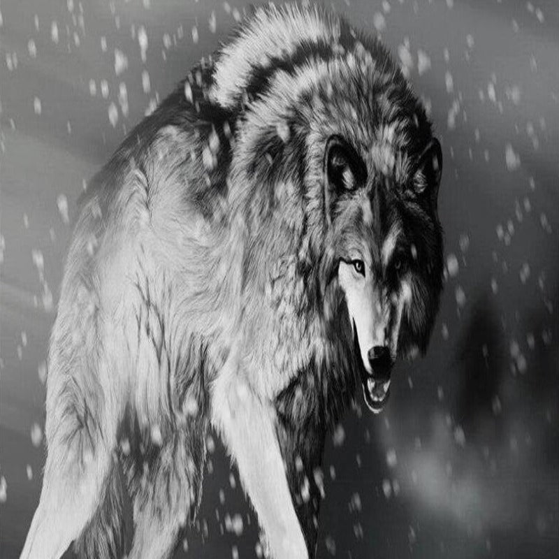 Papier Peint Photo Loup Noir et Blanc | Le Petit Intissé