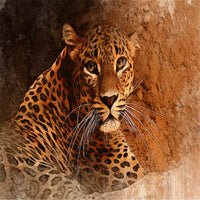 Thumbnail for Papier Peint Panoramique Léopard | Le Petit Intissé