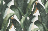Papier Peint Tropical <br/> Plante Verte