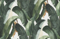 Thumbnail for Papier Peint Tropical <br/> Plante Verte