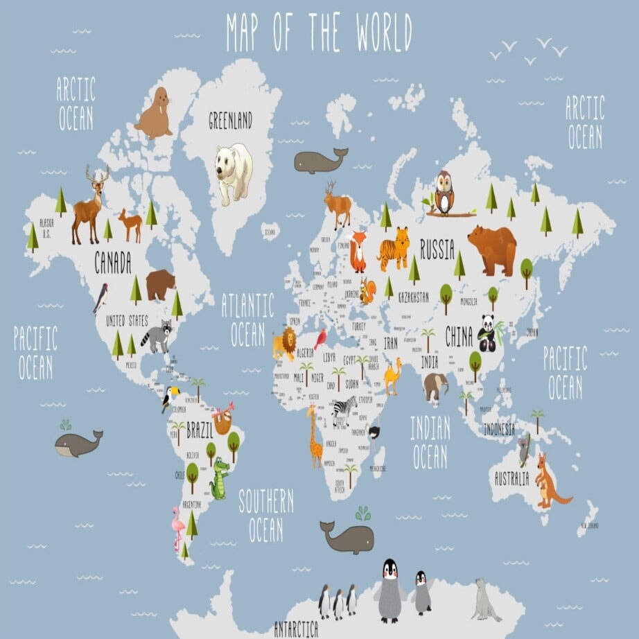 Papier Peint Carte du Monde <br/> Tapisserie Monde