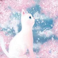 Thumbnail for Panoramique Chat | Le Petit Intissé