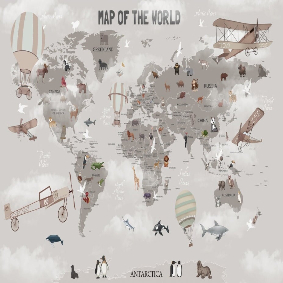 Papier Peint Carte du Monde <br/> Avion Panoramique Gris