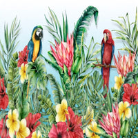Thumbnail for Papier Peint Oiseaux <br/> Perroquet Exotique