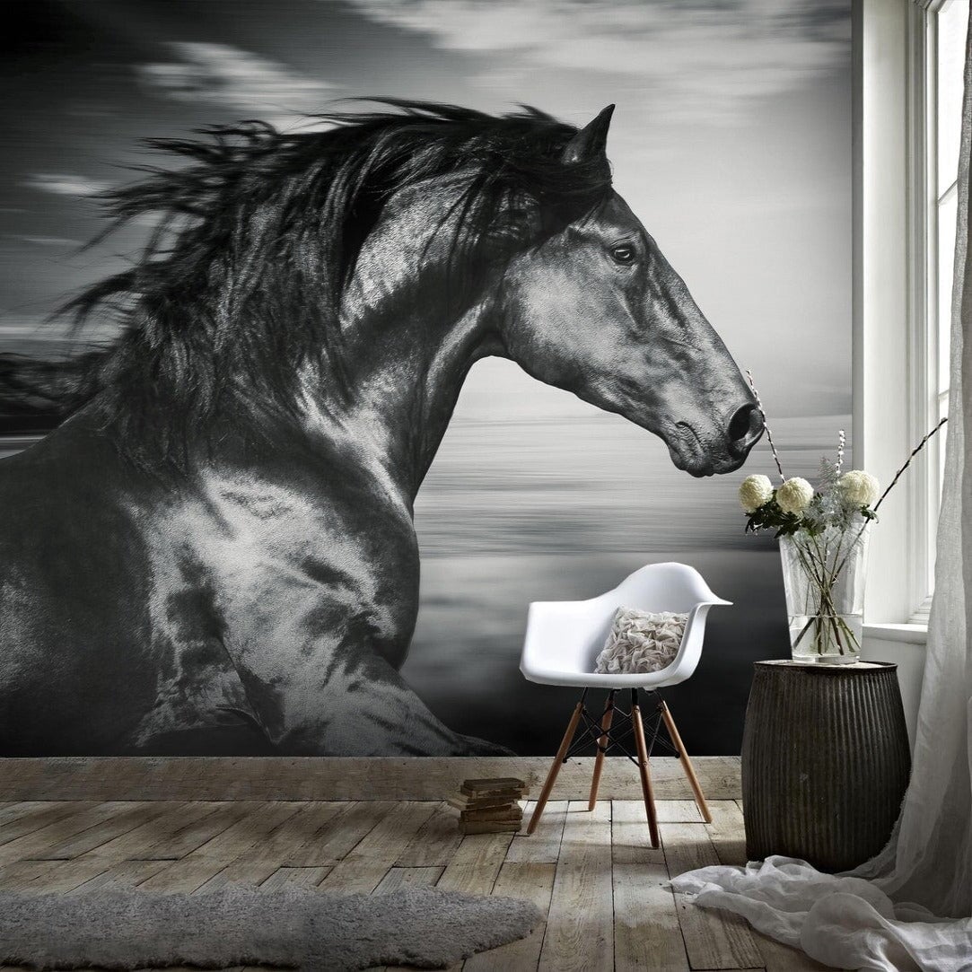 Papiers Peints Cheval Noir | Le Petit Intissé