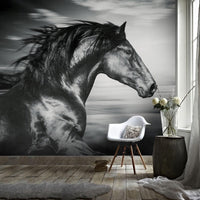 Thumbnail for Papiers Peints Cheval Noir | Le Petit Intissé