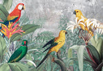 Papier Peint Oiseaux <br/> Quatre Royal