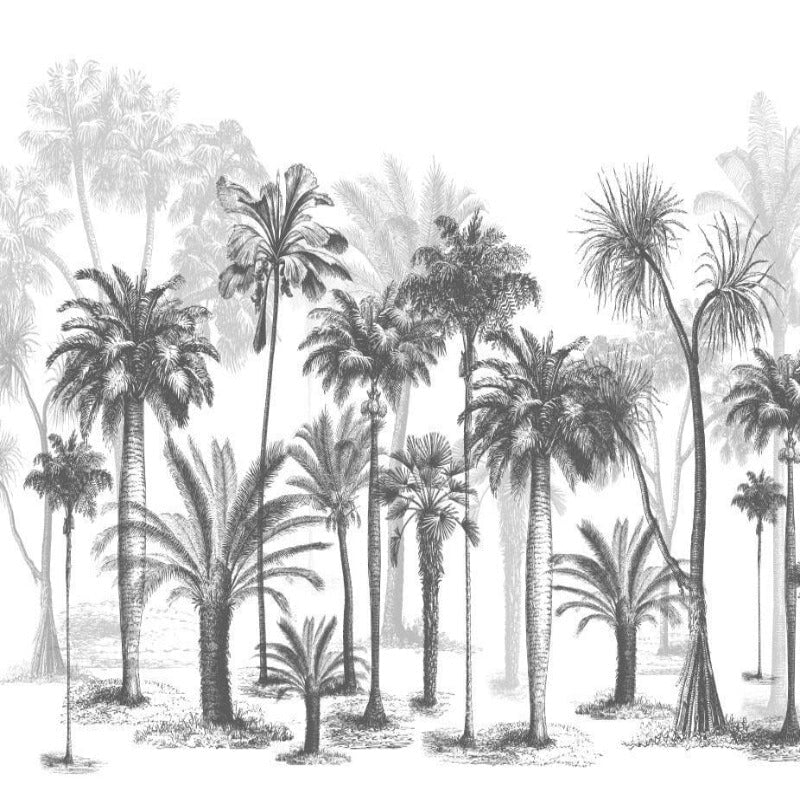 Papier Peint Noir et Blanc Jungle | Le Petit Intissé