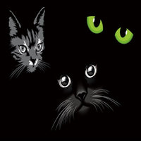 Thumbnail for Papier Peint Chat Noir et Blanc pour Chambre d'Ado | Le Petit Intissé