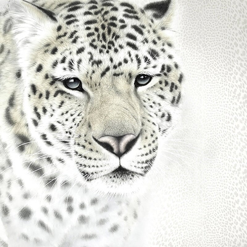 Papier Peint Léopard Noir et Blanc | Le Petit Intissé