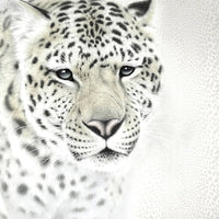 Thumbnail for Papier Peint Léopard Noir et Blanc | Le Petit Intissé