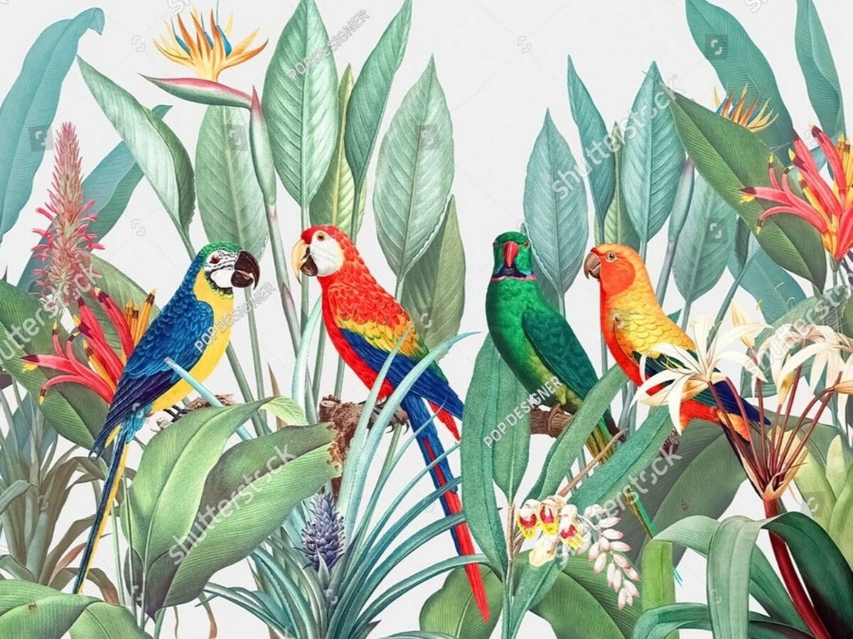Papier Peint Perroquet Pas Cher | Le Petit Intissé